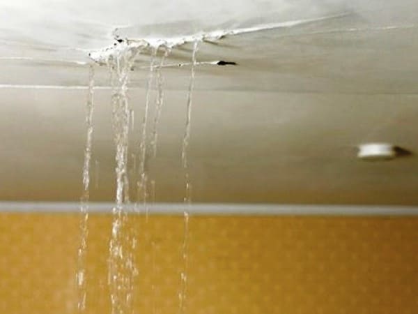 cfdb1ea42f2ddae0cfc806e61a512c2e56684782